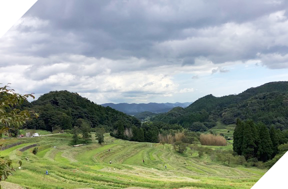 大山千枚田